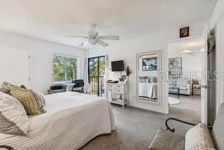 104 E CYPRESS COURT #104 Oldsmar, FL 34677