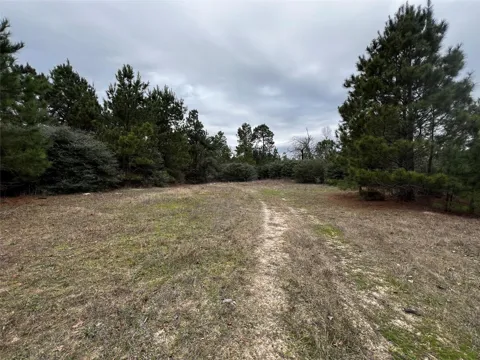County Road 207