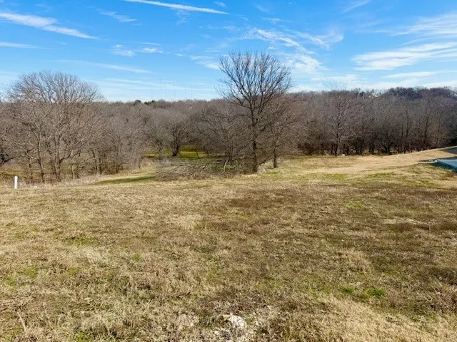 1224 Lilac Lane Grand Prairie, TX 75104