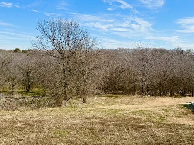 1224 Lilac Lane Grand Prairie, TX 75104