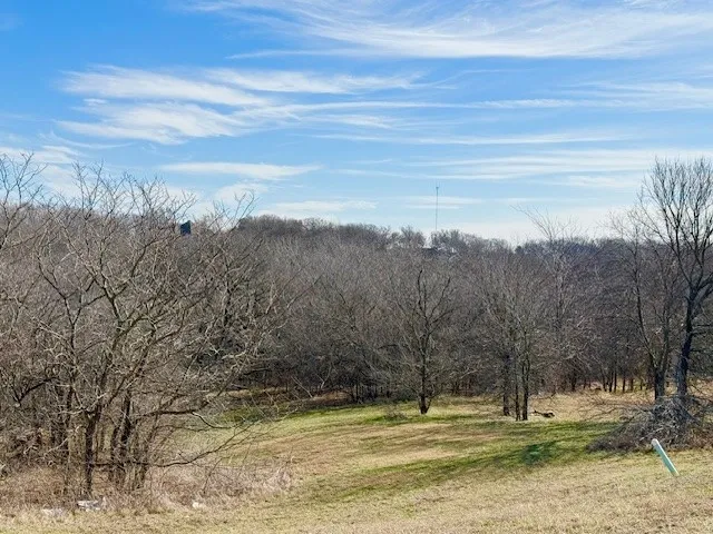 1224 Lilac Lane Grand Prairie, TX 75104