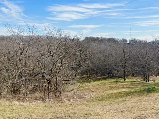 1224 Lilac Lane Grand Prairie, TX 75104