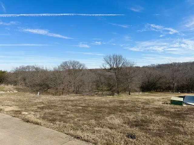 1224 Lilac Lane Grand Prairie, TX 75104