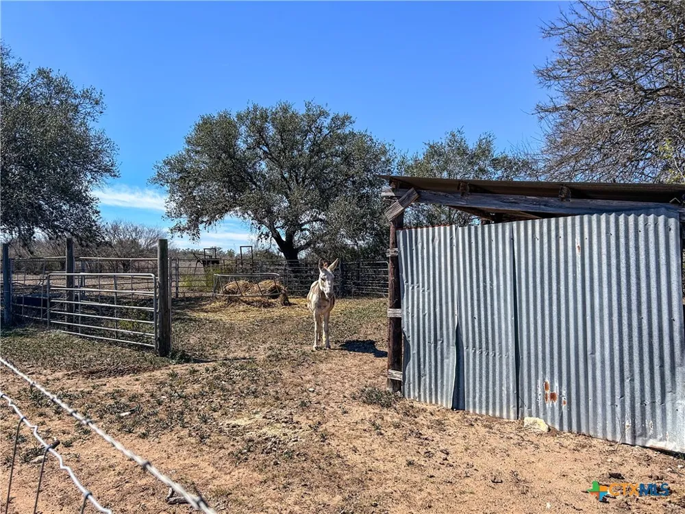 1174 Charco Road Tuleta, TX 78162