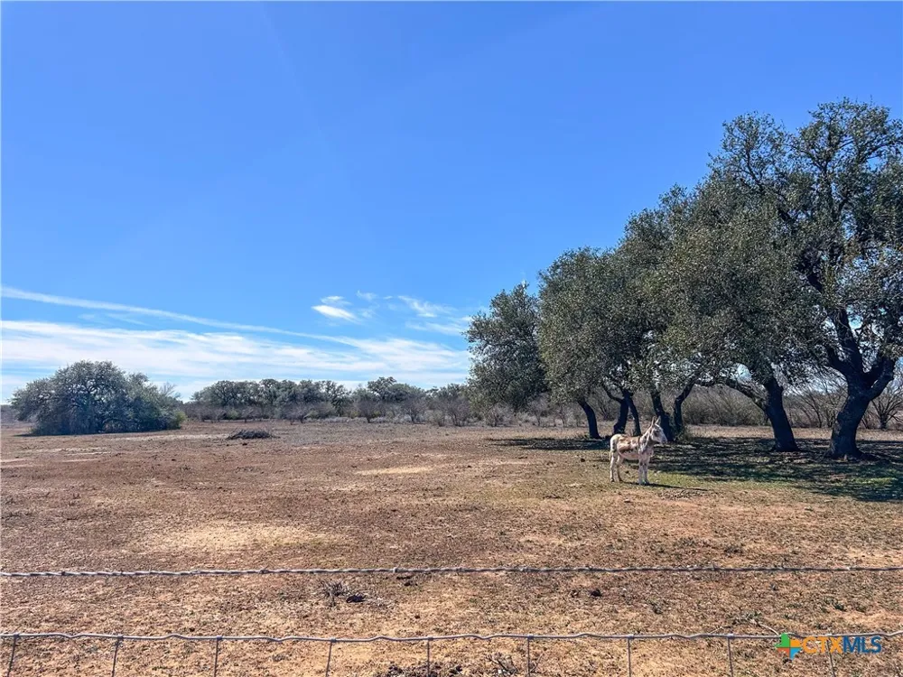 1174 Charco Road Tuleta, TX 78162