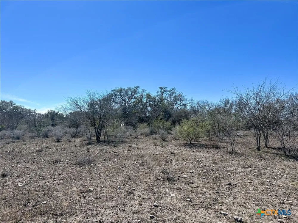 1174 Charco Road Tuleta, TX 78162