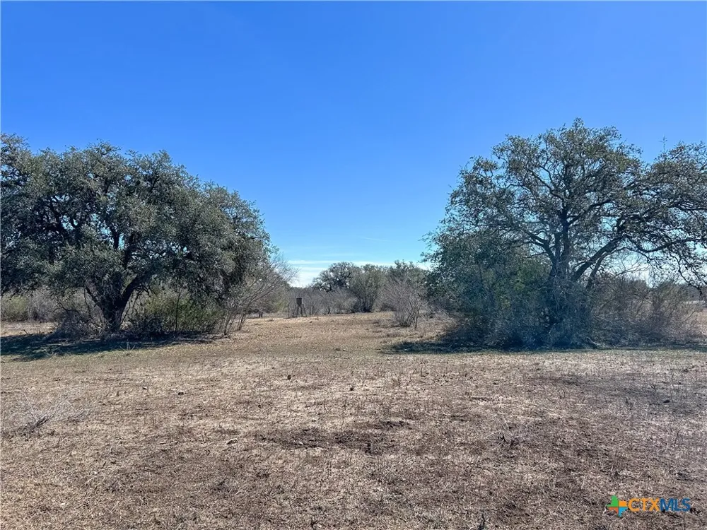 1174 Charco Road Tuleta, TX 78162