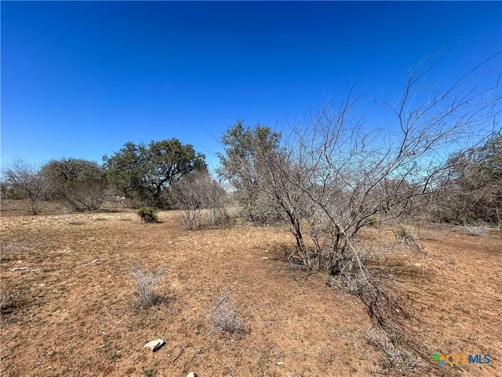 1174 Charco Road Tuleta, TX 78162