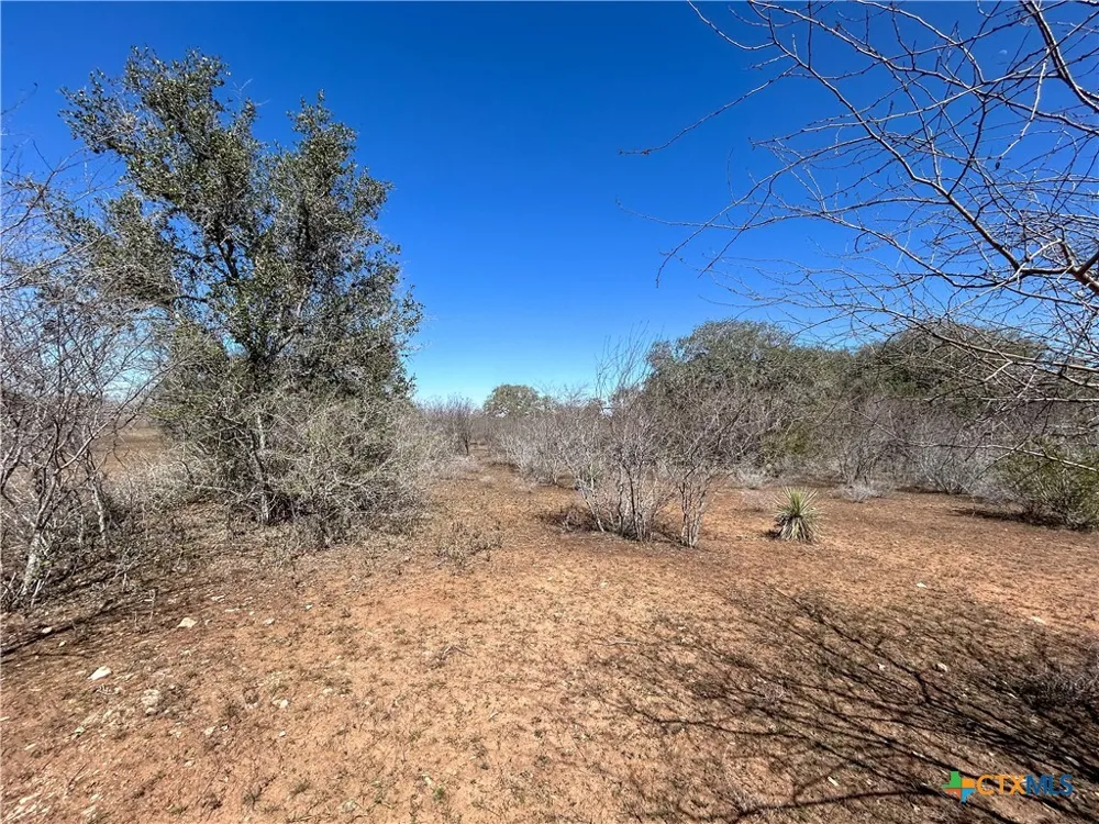 1174 Charco Road Tuleta, TX 78162