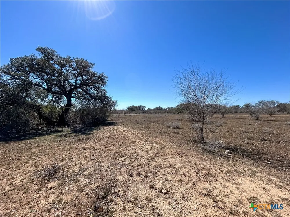 1174 Charco Road Tuleta, TX 78162