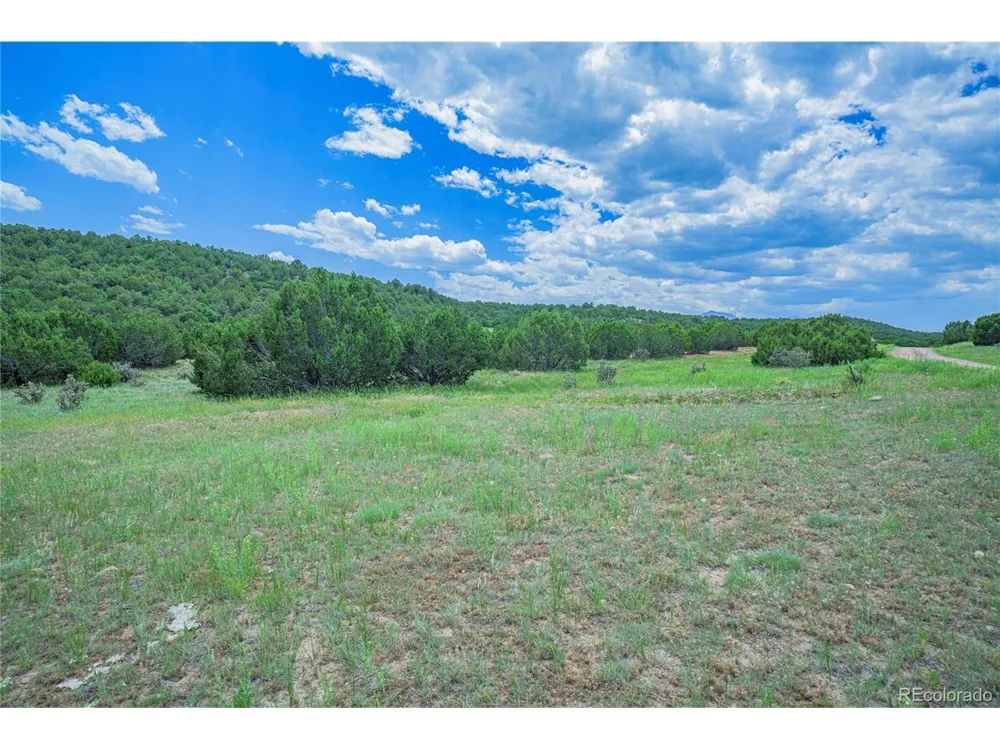 254 Sunset Court Walsenburg, CO 81089