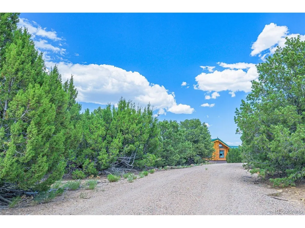 254 Sunset Court Walsenburg, CO 81089