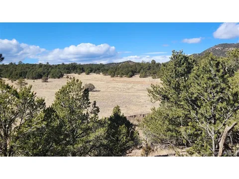 311 Kit Carson Trail