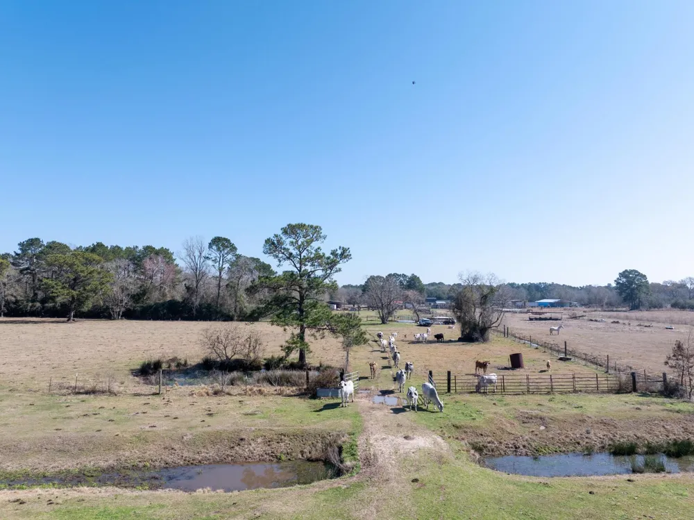 1589 Fm 163 Road Cleveland, TX 77327