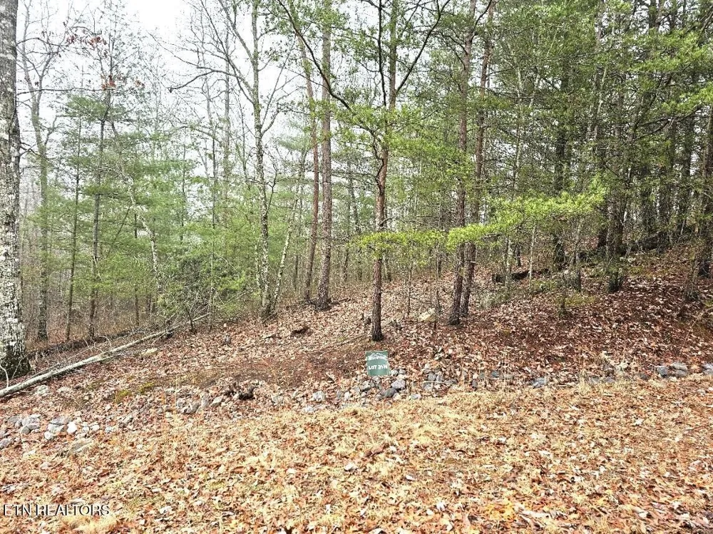514 Percussion Court Walland, TN 37886