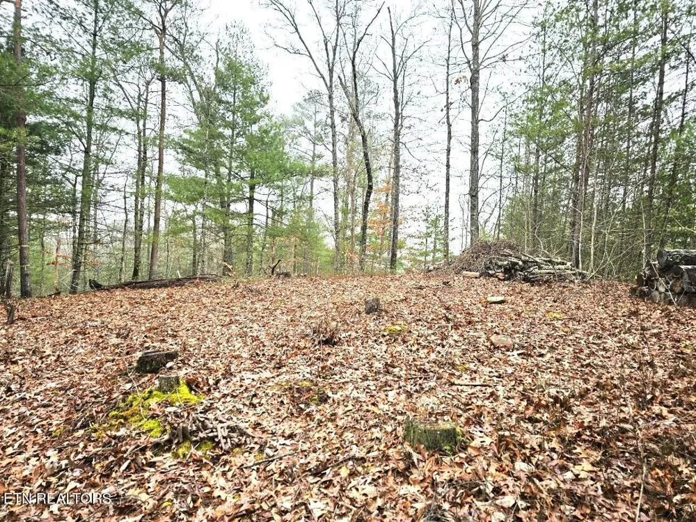 514 Percussion Court Walland, TN 37886