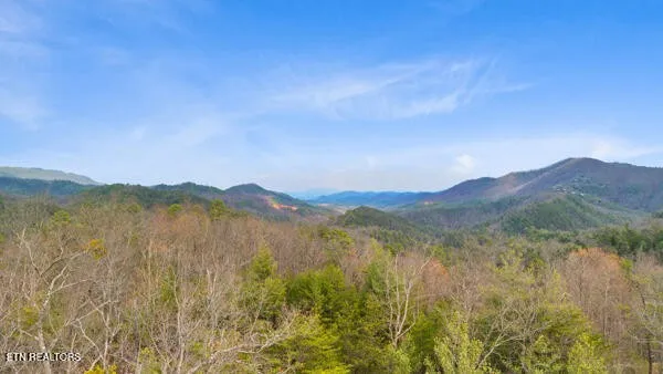 514 Percussion Court Walland, TN 37886