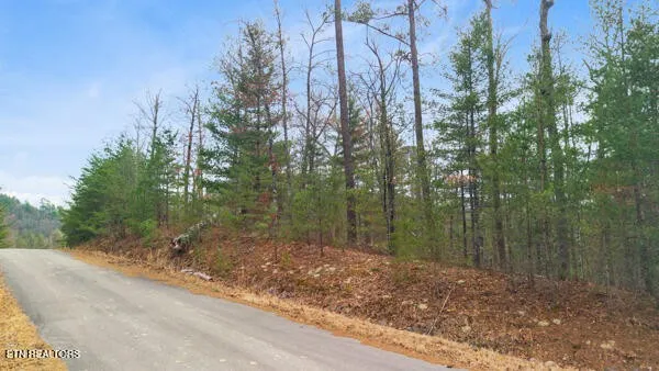 514 Percussion Court Walland, TN 37886