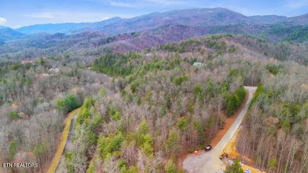514 Percussion Court Walland, TN 37886