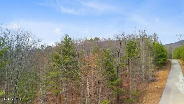 514 Percussion Court Walland, TN 37886