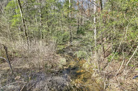 606 Dogwood Rd
