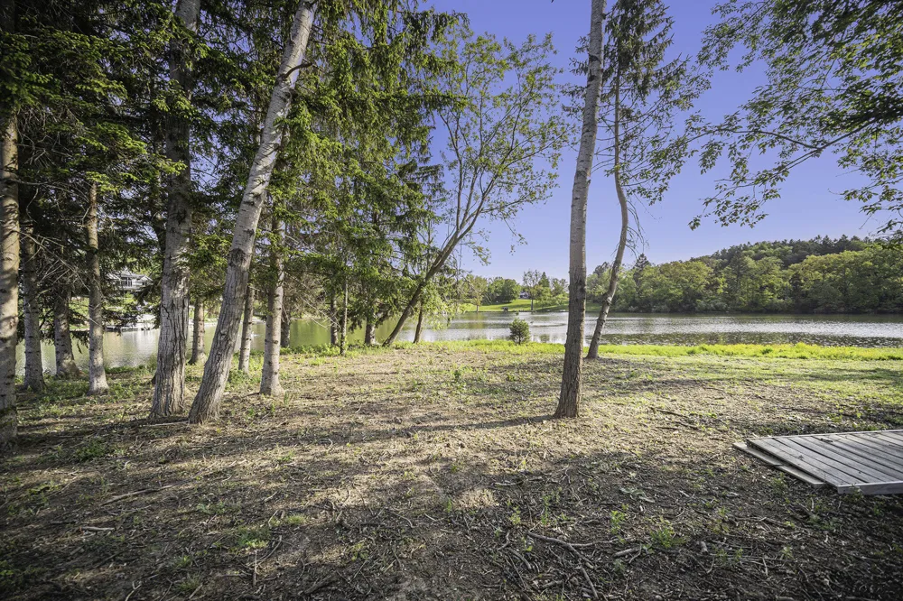 11248 Lemott Circle Jerome, MI 49249