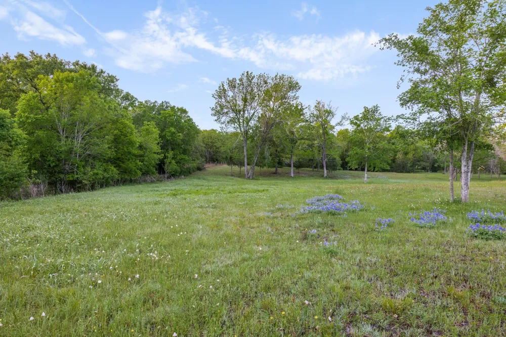 4399 Silentwood Lane Anderson, TX 77830