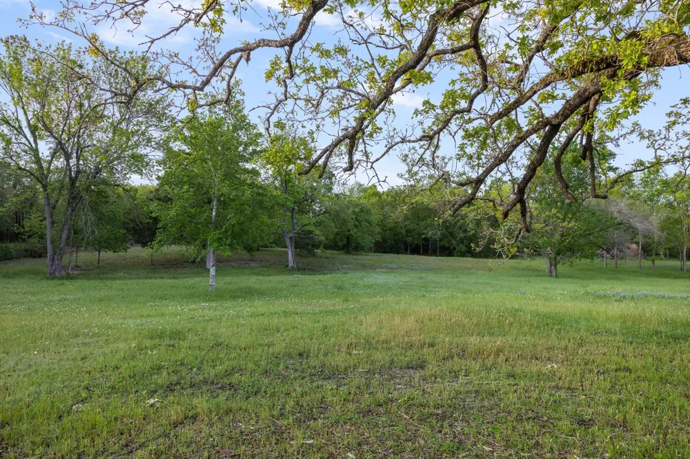 4399 Silentwood Lane Anderson, TX 77830