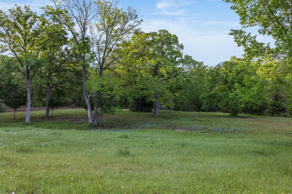 4399 Silentwood Lane Anderson, TX 77830