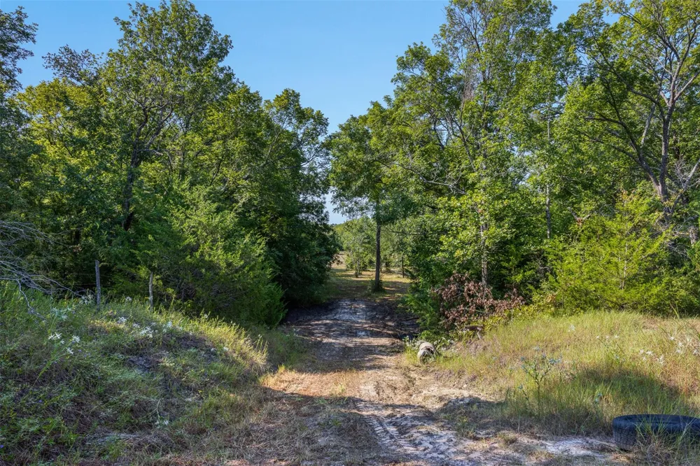 4399 Silentwood Lane Anderson, TX 77830
