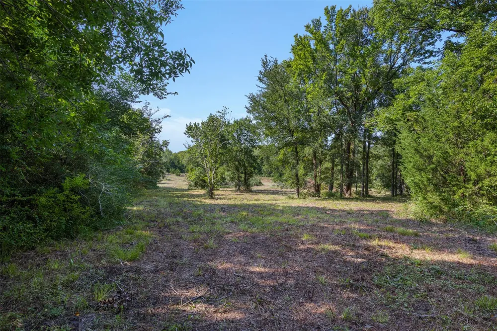 4399 Silentwood Lane Anderson, TX 77830
