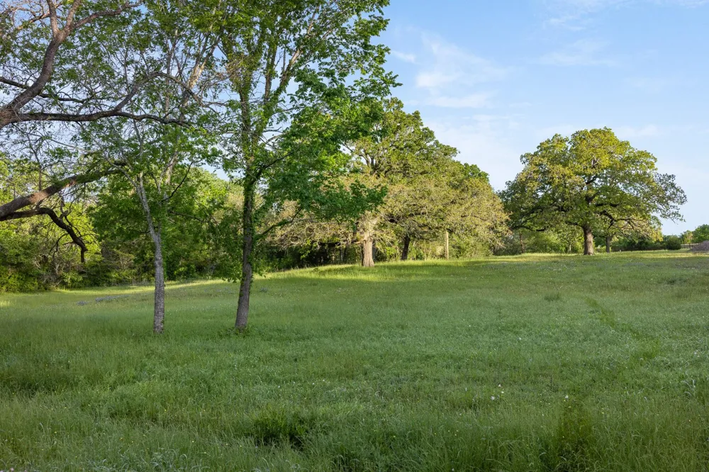 4399 Silentwood Lane Anderson, TX 77830