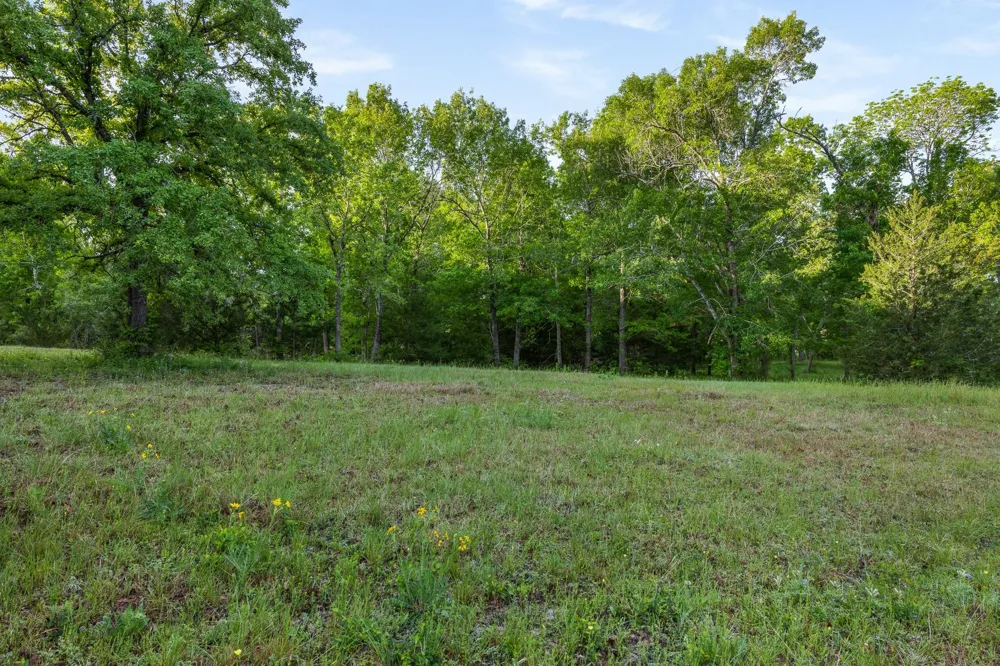 4399 Silentwood Lane Anderson, TX 77830