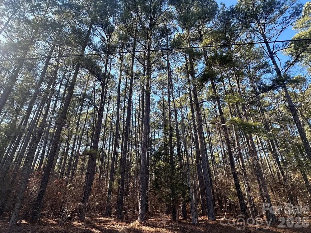 2410 Summerville Church Road Denton, NC 27239