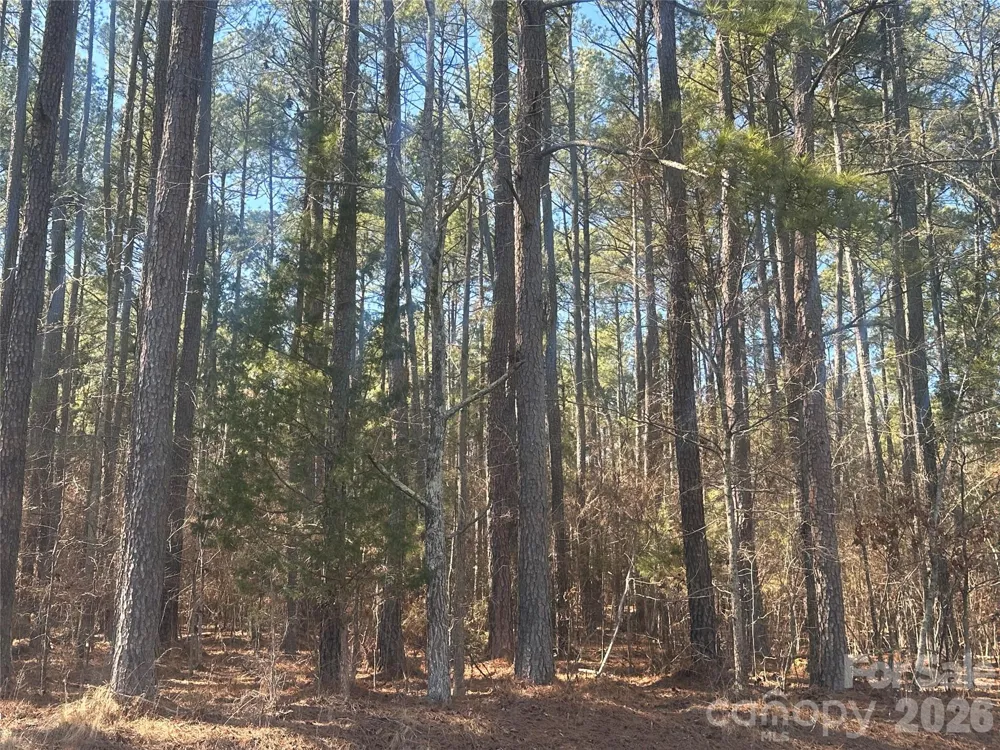 2410 Summerville Church Road Denton, NC 27239