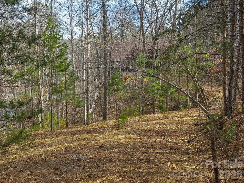 Lots 22 & 23 Lake Adger Parkway Mill Spring, NC 28756