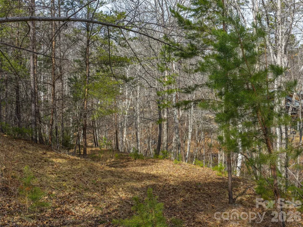Lots 22 & 23 Lake Adger Parkway Mill Spring, NC 28756