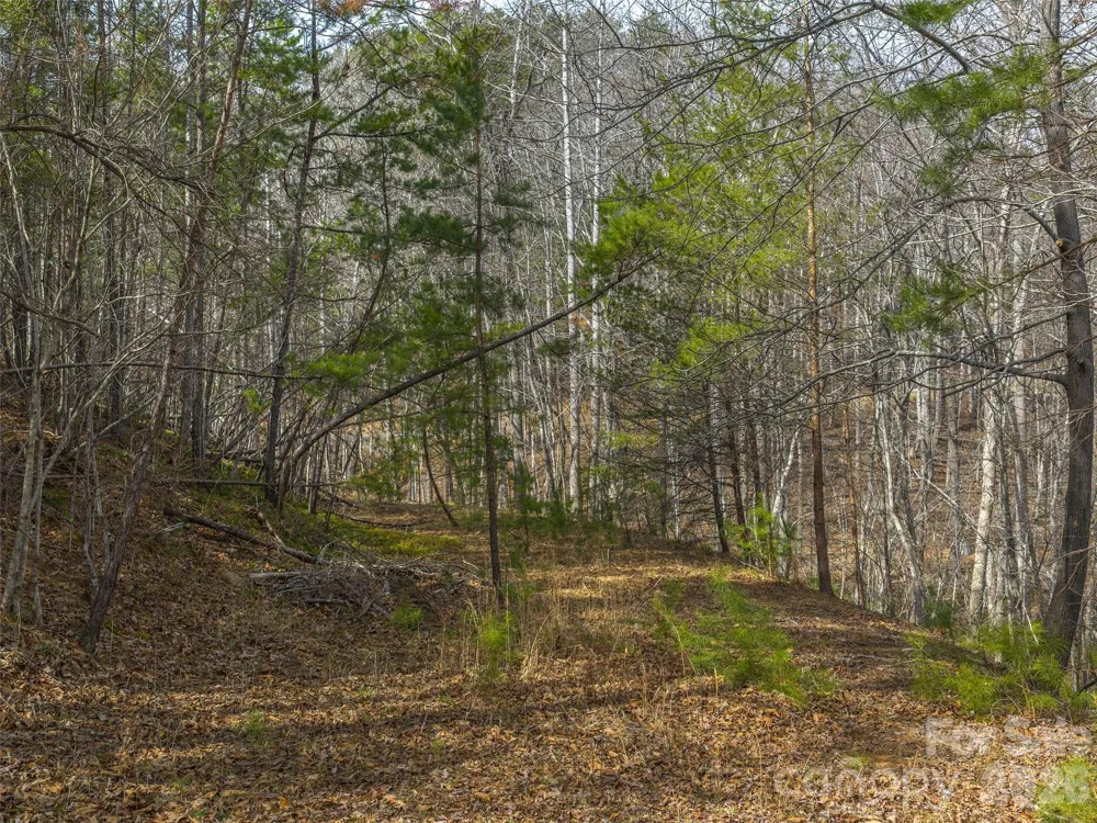 Lots 22 & 23 Lake Adger Parkway Mill Spring, NC 28756