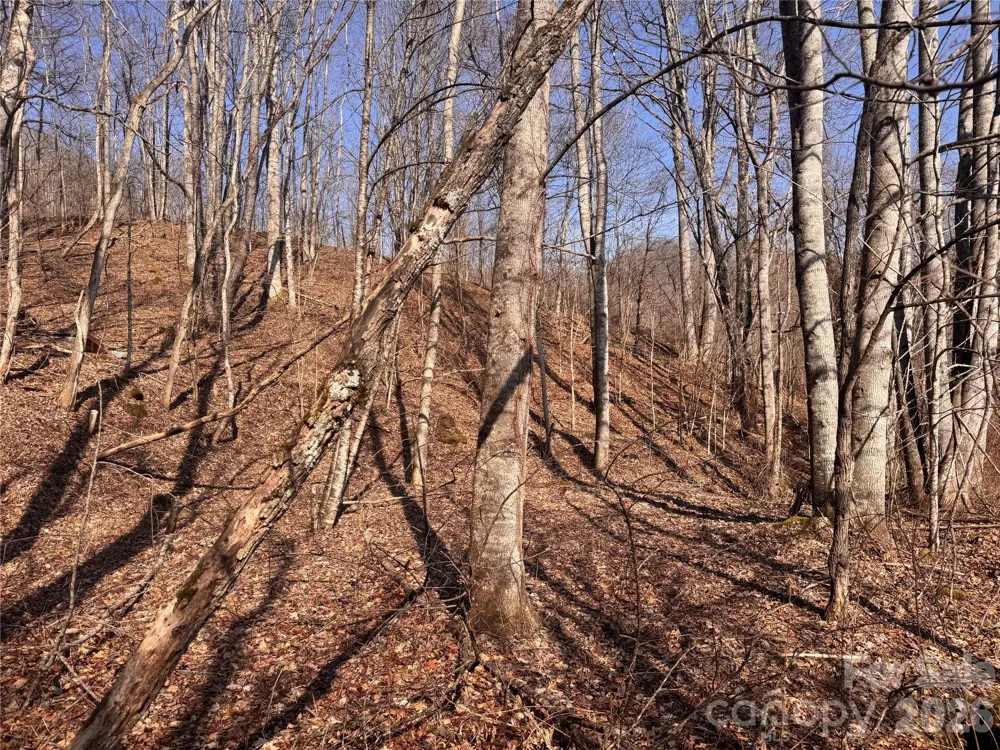 00 S US 19 Highway E Newland, NC 28657