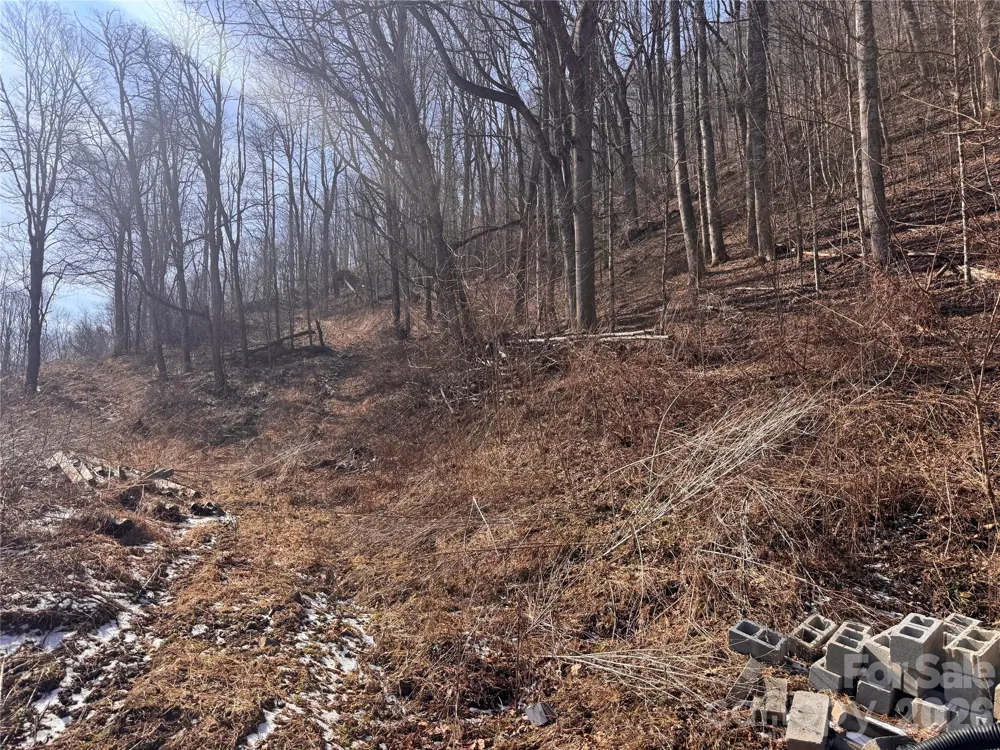 00 S US 19 Highway E Newland, NC 28657
