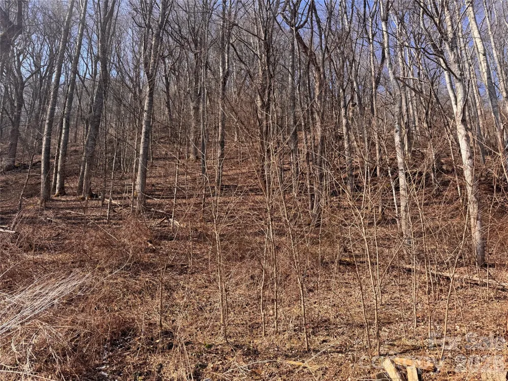 00 S US 19 Highway E Newland, NC 28657