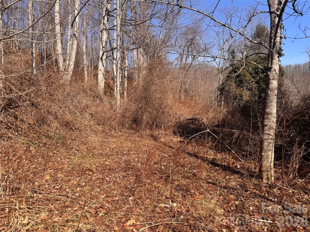 00 S US 19 Highway E Newland, NC 28657