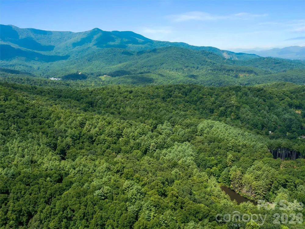99999 Gordon Lane Burnsville, NC 28714