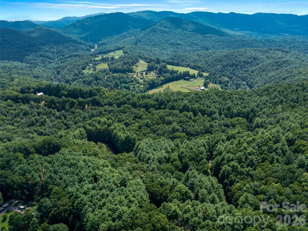 99999 Gordon Lane Burnsville, NC 28714