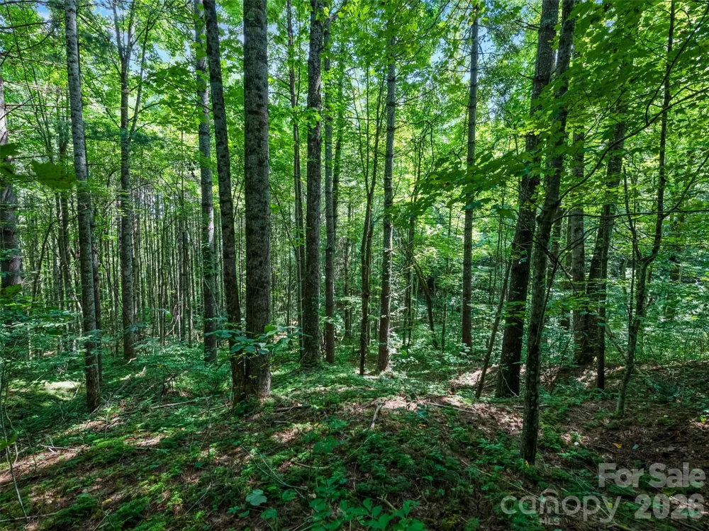 99999 Gordon Lane Burnsville, NC 28714