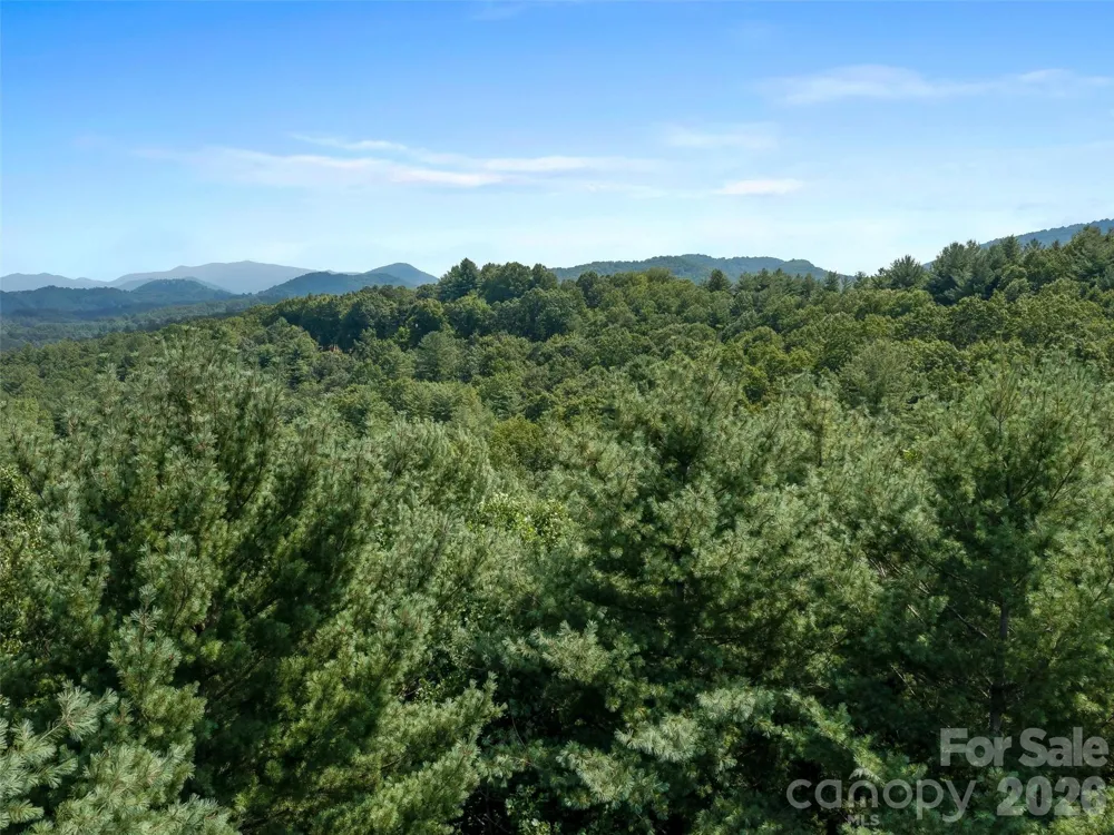 99999 Gordon Lane Burnsville, NC 28714