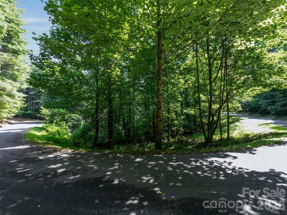 99999 Gordon Lane Burnsville, NC 28714