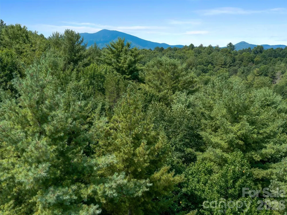 99999 Gordon Lane Burnsville, NC 28714