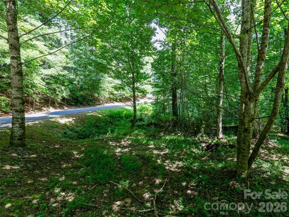 99999 Gordon Lane Burnsville, NC 28714