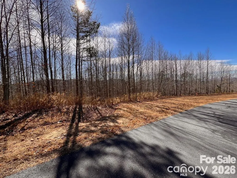V/L 244 Scenic Vista Drive Nebo, NC 28761